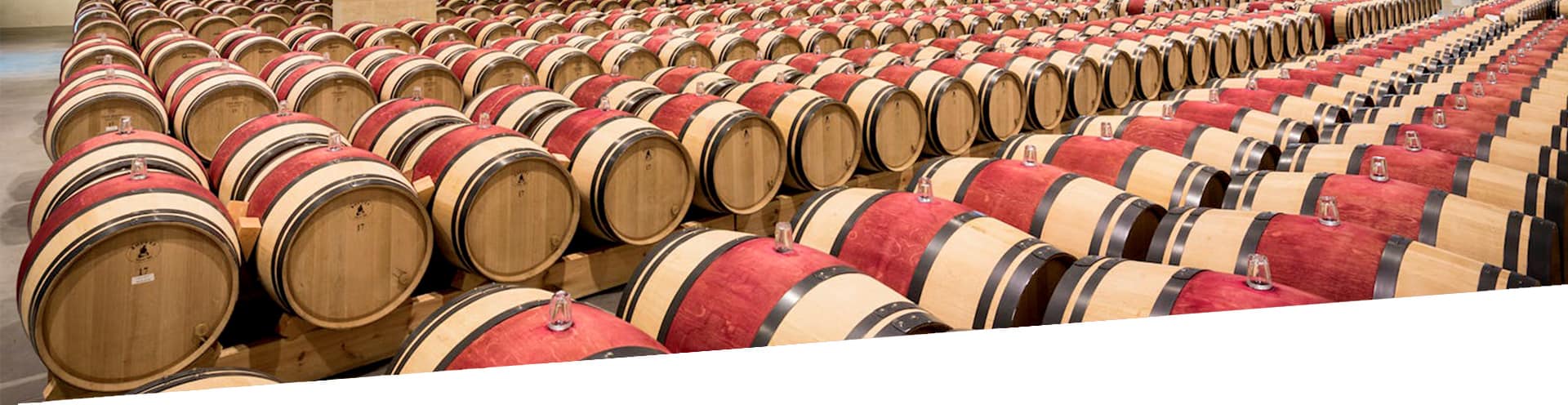 Chai bordelais — rangées de barriques 225L à cire rouge